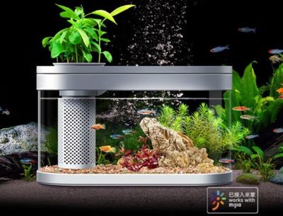 小米幾何魚缸：小米幾何魚缸維護成本 小米幾何魚缸：小米幾何魚缸維護成本 魚缸百科 第5張