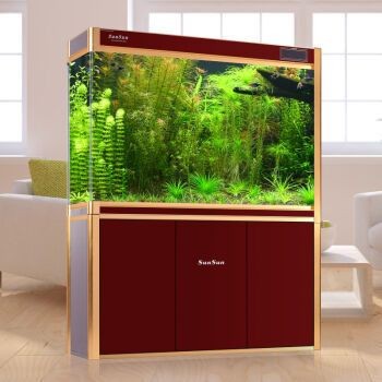 龍魚魚缸品牌十大排名最新圖片大全：龍魚魚缸品牌最新排名