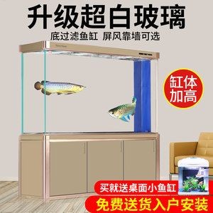 底濾魚缸改造的藝術與技巧：如何將底濾魚缸改裝成過濾桶