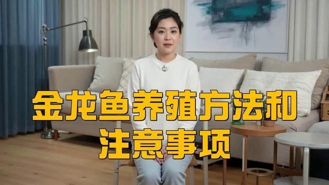龍魚飼養(yǎng)需要哪些基本設備？