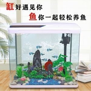 方形玻璃魚缸適合放置在方形玻璃魚缸中的常見魚類：方形玻璃魚缸的養護技巧如何正確養護玻璃魚缸是非常重要的