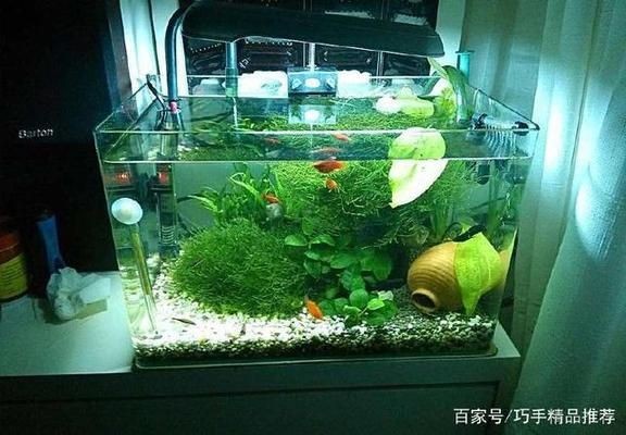 魚缸換水需要加鹽嗎？很多人都弄錯了，海水魚換水是否需要加鹽