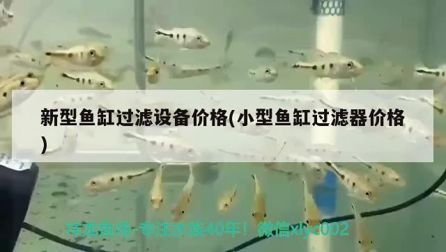 合肥廬陽區千卉閣花店 合肥廬陽區千卉閣花店 全國水族館企業名錄 第2張