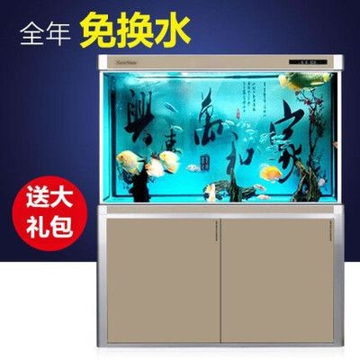 森森魚缸魚缸使用過濾不用增氧怎么弄：森森魚缸不使用增氧泵