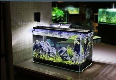 定制魚缸和成品魚缸的區別：定制魚缸和成品魚缸各有優缺點 定制魚缸和成品魚缸的區別：定制魚缸和成品魚缸各有優缺點 魚缸百科 第3張