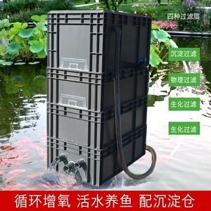 血紅龍的飼養(yǎng)難度如何，《明日之后》血紅龍飼養(yǎng)每日操作清單，給我一份血紅龍的飼養(yǎng)指南 血紅龍的飼養(yǎng)難度如何，《明日之后》血紅龍飼養(yǎng)每日操作清單，給我一份血紅龍的飼養(yǎng)指南 龍魚百科 第2張
