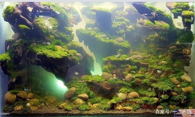 海灘造景魚缸裝飾diy：創(chuàng)意魚缸裝飾diy