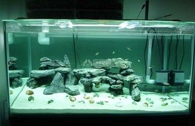 海灘造景魚缸裝飾diy：創(chuàng)意魚缸裝飾diy
