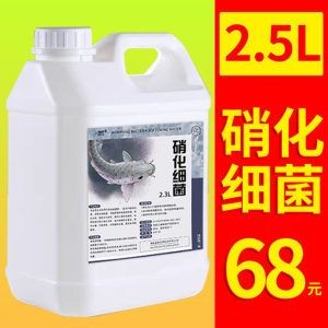 龍魚缸除藻方法(養(yǎng)龍魚的過程中,可能會(huì)遇到魚缸內(nèi)長(zhǎng)藻的問題) 龍魚百科 第1張 龍魚缸除藻方法(養(yǎng)龍魚的過程中,可能會(huì)遇到魚缸內(nèi)長(zhǎng)藻的問題) 龍魚缸除藻方法(養(yǎng)龍魚的過程中,可能會(huì)遇到魚缸內(nèi)長(zhǎng)藻的問題) 龍魚百科 第1張