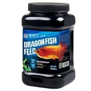 魚缸購買推薦品種怎么選（家庭魚缸過濾系統(tǒng)哪種好家庭魚缸燈光配置建議適合初學者的魚類推薦） 魚缸購買推薦品種怎么選（家庭魚缸過濾系統(tǒng)哪種好家庭魚缸燈光配置建議適合初學者的魚類推薦） 魚缸百科