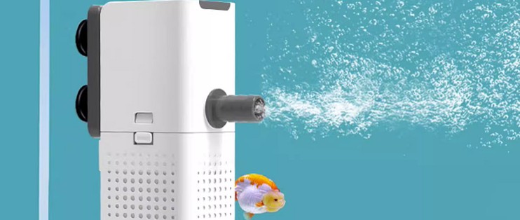 佛山市禪城區(qū)陶樂水族器材店（佛山市禪城區(qū)陶樂水族器材店地址）