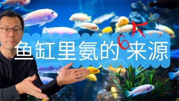 如何控制魚缸內(nèi)氨含量：魚缸內(nèi)氨的含量對水族生物的健康至關(guān)重要