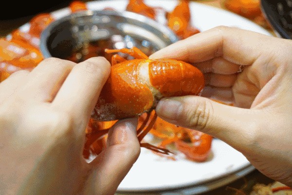 吃小龍蝦的魚：關于吃小龍蝦的魚的一些信息：雜食性的魚可能會吃小龍蝦