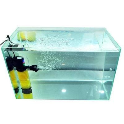 魚缸水質(zhì)管理策略保持魚缸水質(zhì)的清潔和穩(wěn)定是養(yǎng)魚過程中的重要任務(wù)：干濕分離魚缸水質(zhì)管理策略保持魚缸水質(zhì)的清潔和穩(wěn)定