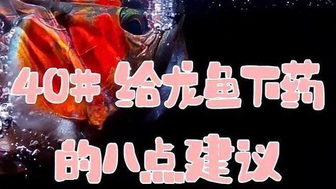 龍魚常備藥物 龍魚常備藥物 龍魚百科 第6張
