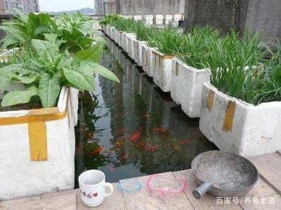 觀景小魚缸制作過程（觀景小魚缸的制作過程） 觀景小魚缸制作過程（觀景小魚缸的制作過程） 魚缸百科 第4張