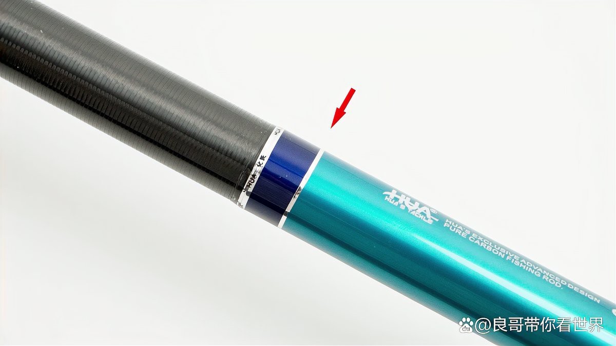 化氏龍紋鯉系列中哪款性價比最高？ 化氏龍紋鯉系列中哪款性價比最高？ 龍魚百科 第11張