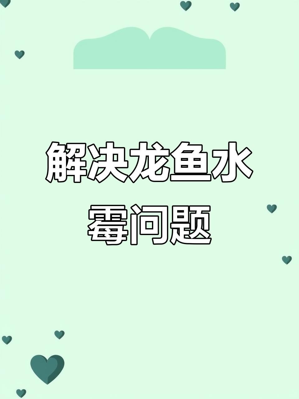 龍魚白霉病會復(fù)發(fā)嗎？