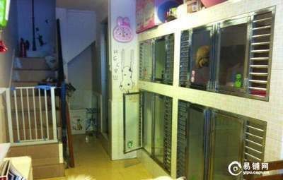 廣州哪里有賣魚缸的店鋪轉讓（關于廣州魚缸店鋪轉讓的信息）