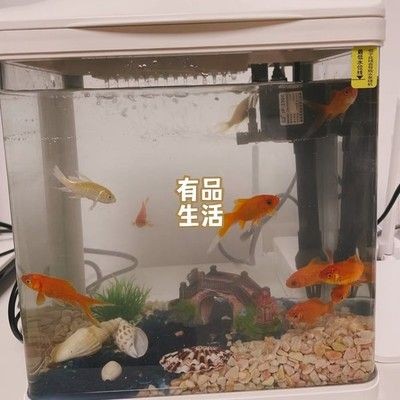 意牌的魚缸質(zhì)量可以嗎？：意牌魚缸售后服務(wù)改善措施意牌魚缸與其他品牌對(duì)比