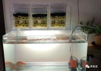 魚缸過濾器濾材的怎么擺放呀：魚缸過濾器濾材擺放方法