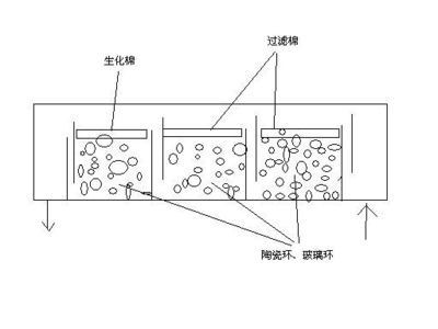 魚缸過濾器濾材的怎么擺放呀：魚缸過濾器濾材擺放方法