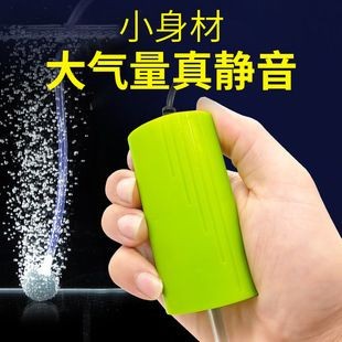 化州魚缸養護與設計指南，魚缸養護與設計指南：化州寵物文化探秘