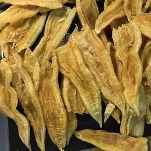 金龍魚魚膠的功效與作用：金龍魚魚膠的功效與作用有哪些？