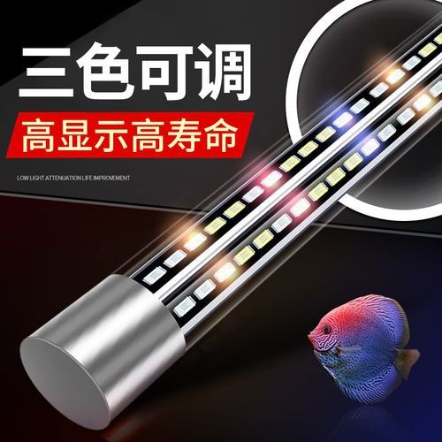 推薦幾款性價比高的龍魚專用燈