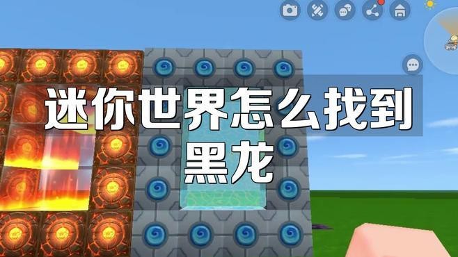 紅龍與黑龍在哪些游戲中有出現？