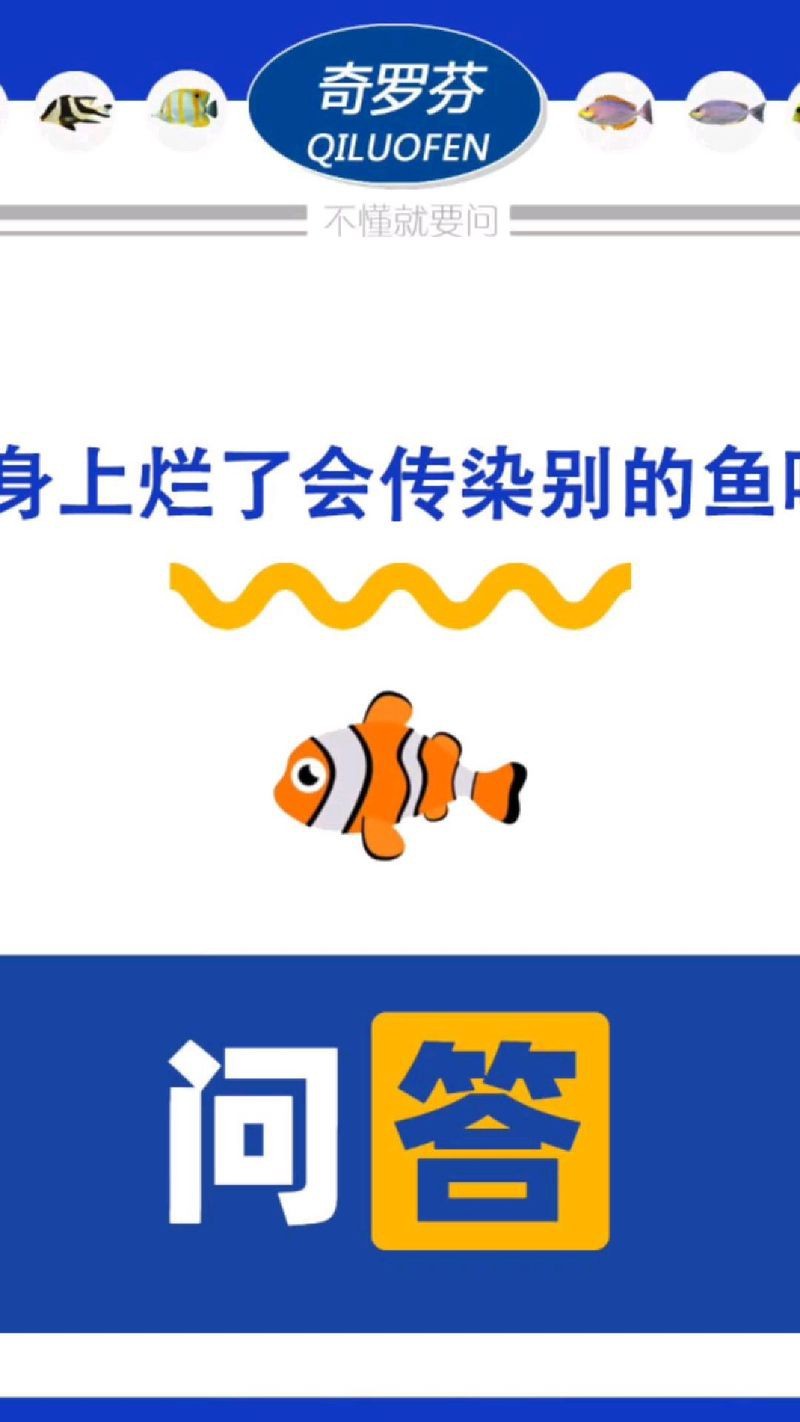 龍魚鱗爛會傳染嗎？