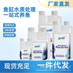 麒麟放魚缸里好不好：魚缸擺放風水講究有哪些