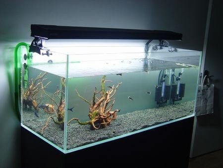魚缸制氧機的工作原理（如何選擇適合的魚缸制氧機） 魚缸制氧機的工作原理（如何選擇適合的魚缸制氧機） 魚缸百科