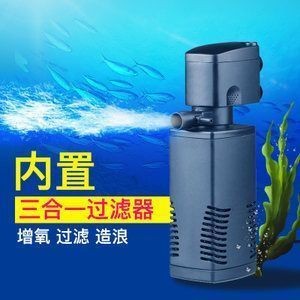 金龍魚的溫度多少合適養（金龍魚養殖注意事項）