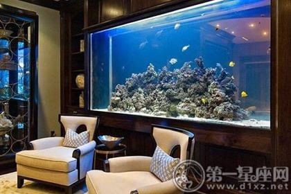 客廳西南方位擺放魚(yú)缸效果：客廳西南方位擺放魚(yú)缸的風(fēng)水禁忌和實(shí)際操作建議