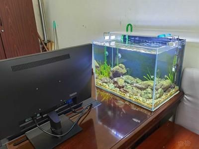 魚缸上的顯示器怎么調試：魚缸顯示器怎么調試