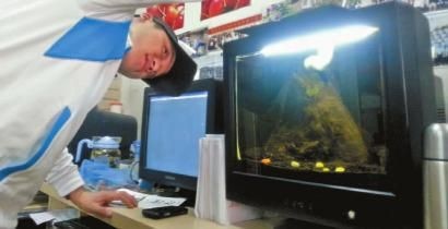 魚缸上的顯示器怎么調試：魚缸顯示器怎么調試