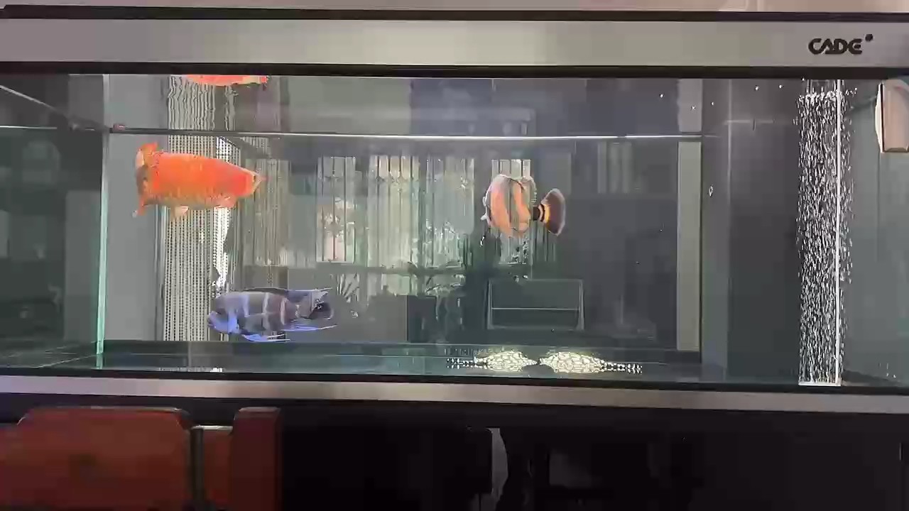 說點什么