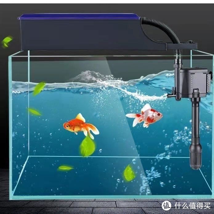 魚缸過濾器的種類：如何選擇魚缸過濾器