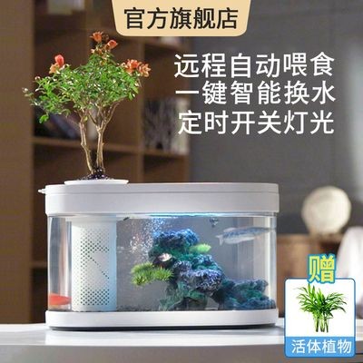 小米魚缸換水管：如何正確更換小米魚缸的水管