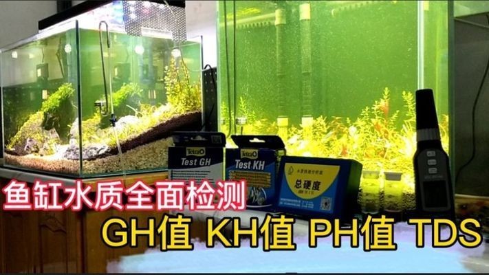 魚缸水草發(fā)黃爛葉怎么辦，如何正確給水草施肥