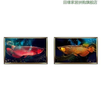 新鄭市薛店鎮(zhèn)宜家水族館