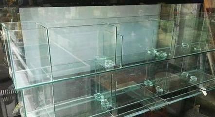 龍魚魚缸制作設計圖：龍魚魚缸制作設計圖的網站：龍魚魚缸制作設計圖的細節 龍魚魚缸制作設計圖：龍魚魚缸制作設計圖的網站：龍魚魚缸制作設計圖的細節 魚缸百科 第5張