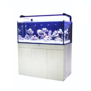 海水魚缸品牌十大品牌推薦海水魚缸十大品牌推薦：海水魚缸十大品牌品牌推薦