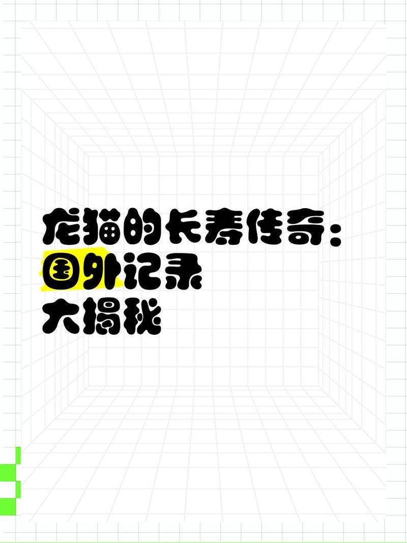 龍貓的壽命記錄保持者是誰？