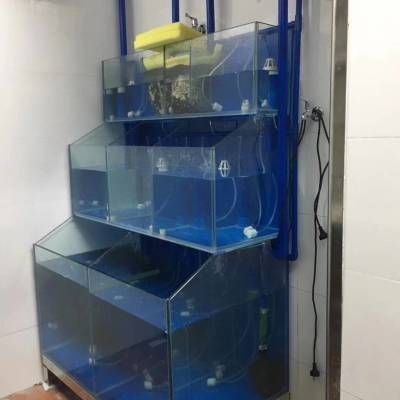 廣東夏季魚缸水溫一般多少？：夏季養(yǎng)魚常見誤區(qū)與對(duì)策夏季養(yǎng)魚常見誤區(qū)與對(duì)策