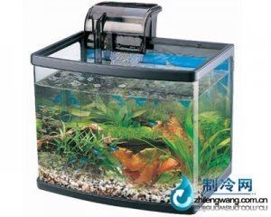 佳寶魚缸怎么樣：佳寶魚缸與森森對比分析佳寶魚缸高清玻璃耐用性