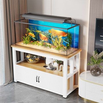 魚缸賣多少錢（如何養(yǎng)護魚缸生態(tài)系統(tǒng)魚缸材質(zhì)對比分析定制魚缸價格估算）
