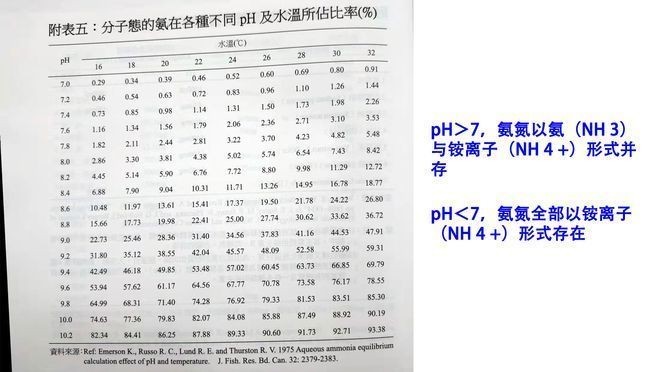 魚(yú)缸氨氮檢測(cè)頻率建議：關(guān)于魚(yú)缸氨氮檢測(cè)頻率建議