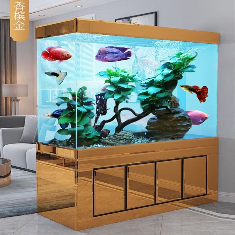 選擇定制魚缸和成品魚缸的選擇優缺點是什么：定制魚缸和成品魚缸的選擇